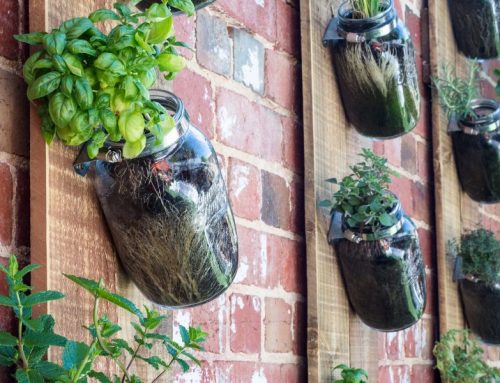Five Ideas For Your Vertical Herb Garden