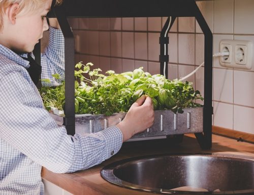 What is Hydroponic Gardening?