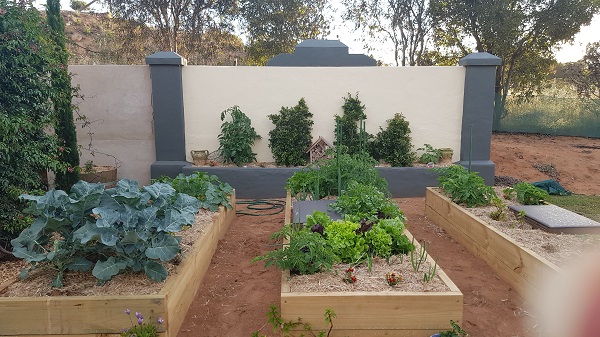 Subpod Worm Farm Vegetable Garden