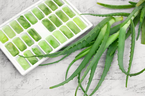 Aloe vera gel for burns