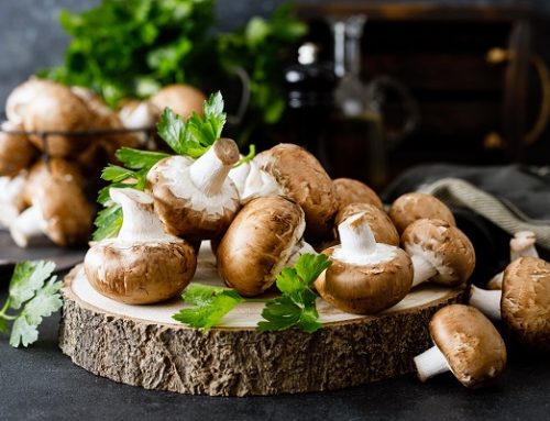 How to Grow Mushrooms at Home – A Nutritious, Delicious addition to your Home Garden