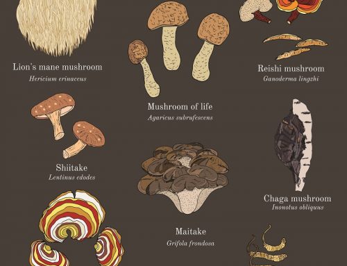 Growing Your Favourite  Mushrooms at Home